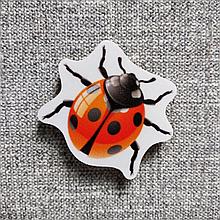Божья коровка. Магнит обучающий