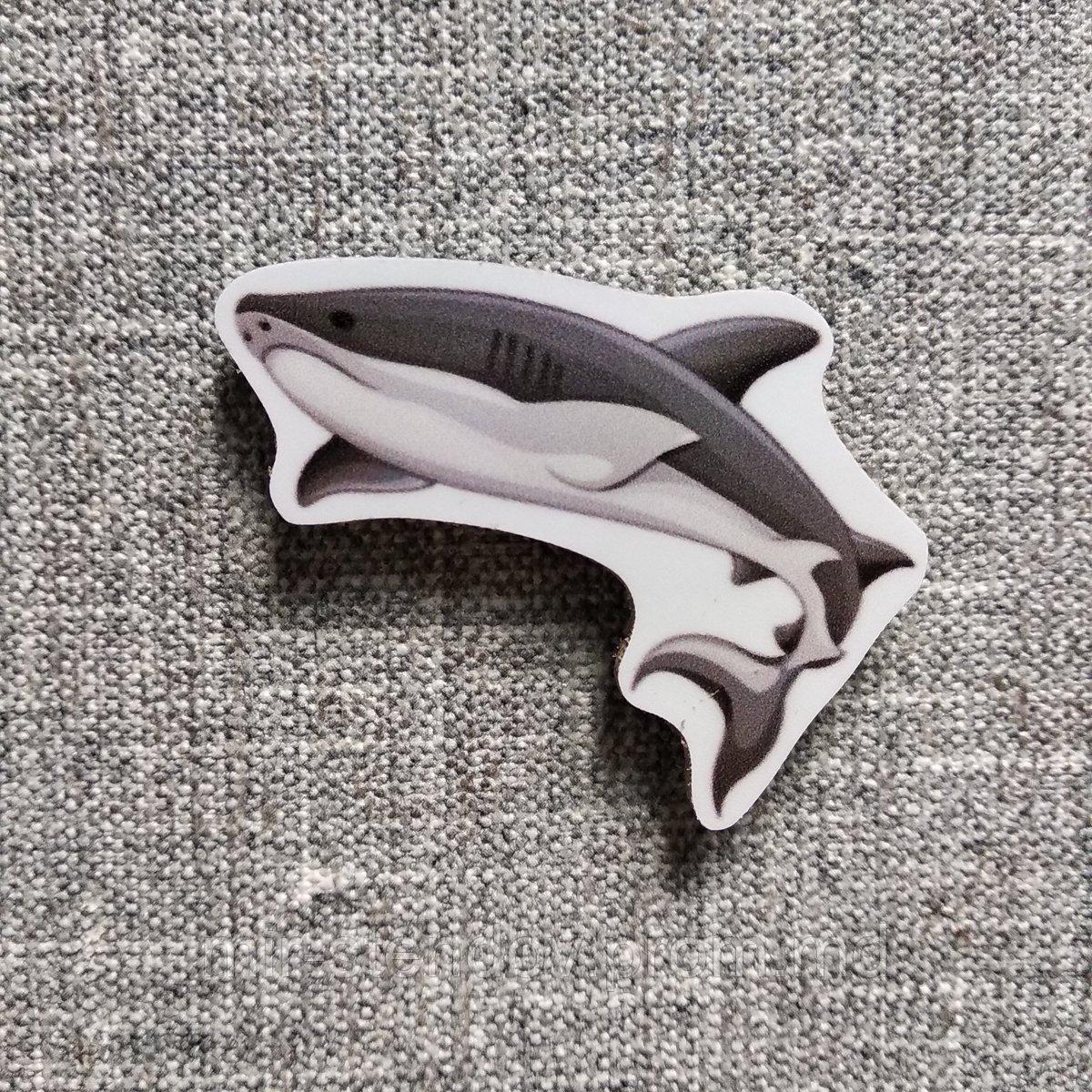 Акула. Магнит обучающий, фото 1