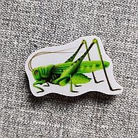 Кузнечик. Магнит обучающий