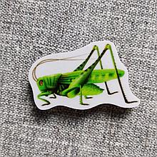 Кузнечик. Магнит обучающий