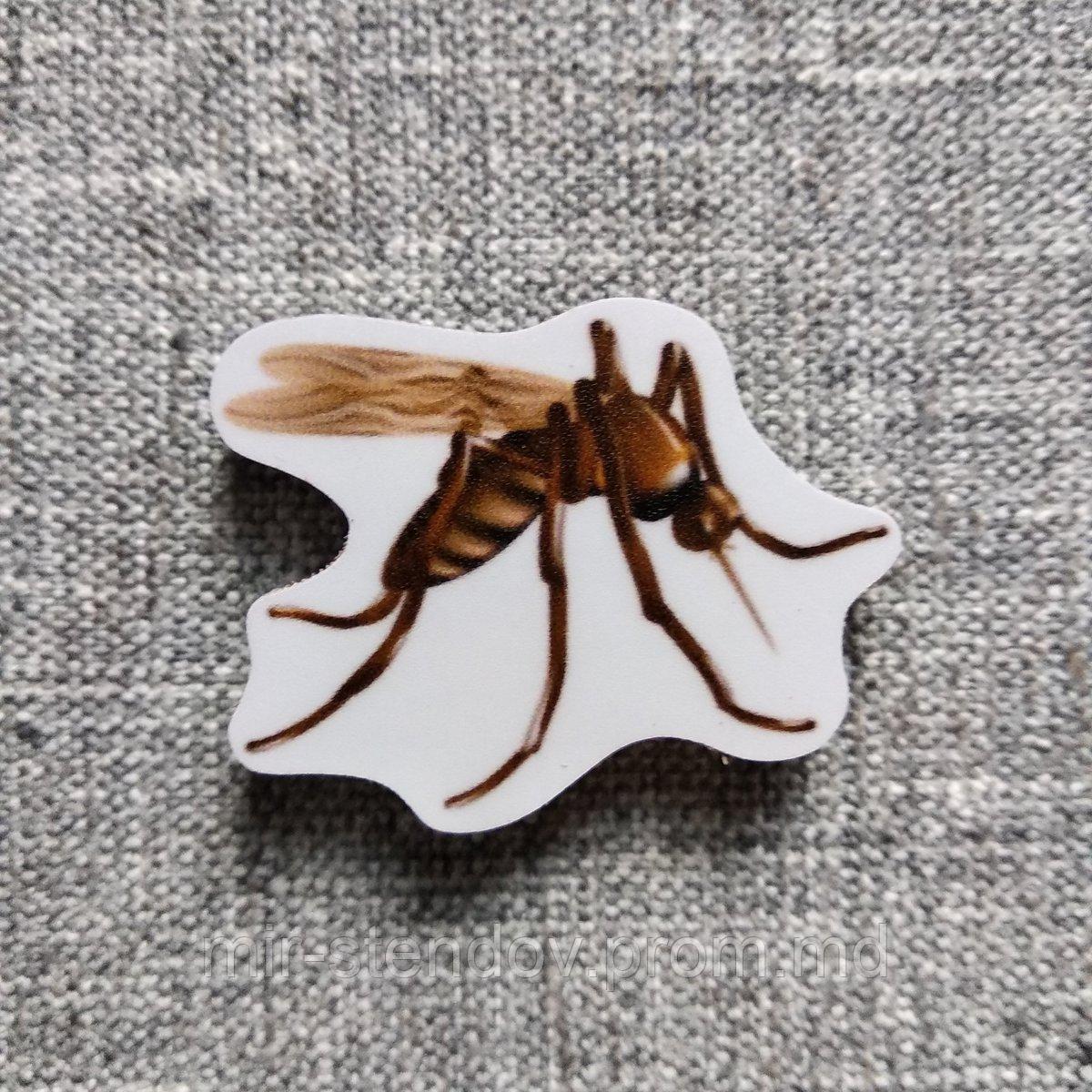 Комар. Магнит обучающий, фото 1