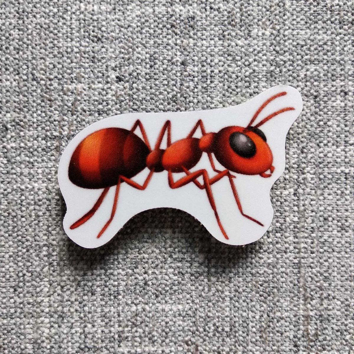 Муравей. Магнит обучающий, фото 1