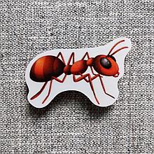 Муравей. Магнит обучающий