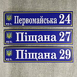 Адресный указатель с гербом Украины. Пластиковая табличка, фото 8