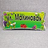 Адресный указатель с названием улицы + табличка с номером дома. "Малиновый", фото 2