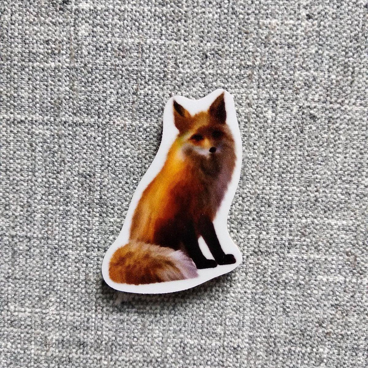 Лиса. Магнит обучающий, фото 1