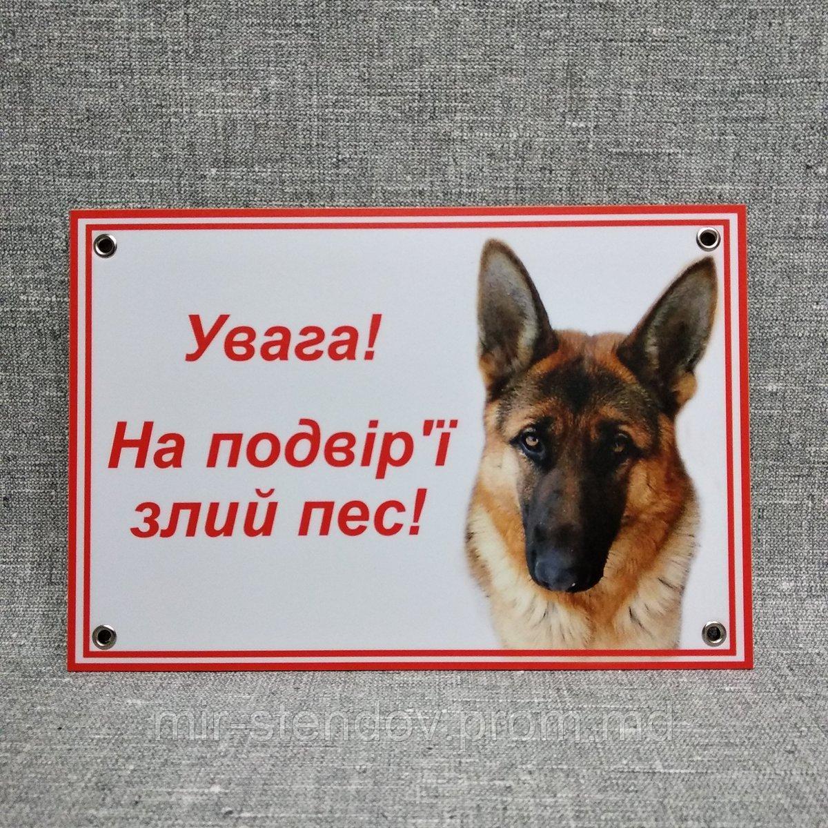 Табличка Внимание, во дворе злая собака, фото 1