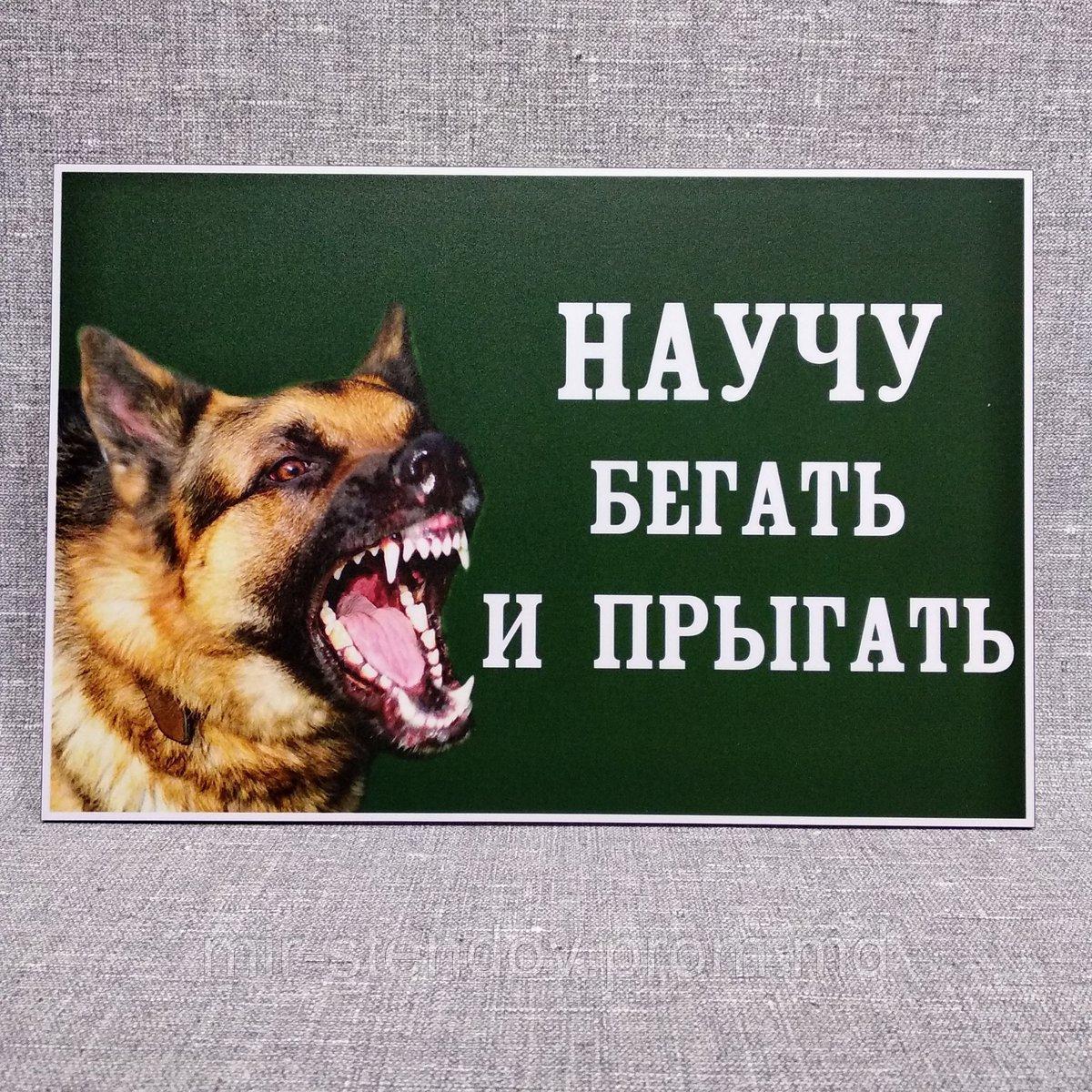 Табличка Научу бегать и прыгать, овчарка, фото 1