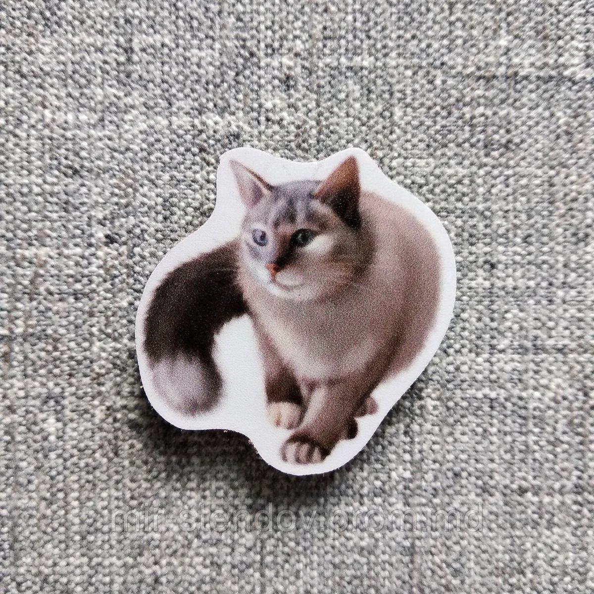 Кошка. Магнит обучающий, фото 1