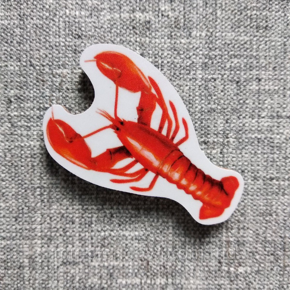 Лангуст. Магнит обучающий, фото 1