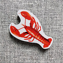 Лангуст. Магнит обучающий