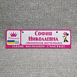 Розовый Номер на коляску с именем  "Любимая доченька..." (Мини Маус принцесса), фото 3