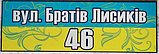 Адресна табличка - вулиця Небесної сотні, фото 3