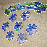 Стенд для выставки рисунков и поделок с магнитами и  полочками "Барвинок, фото 3