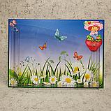 Универсальный информационный стенд. Ромашки, фото 2