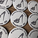 Значки с эмблемой "Учительская Туфля". Захаровская ОШ, фото 3