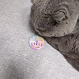 Значок Классный руководитель 1-В, фото 3