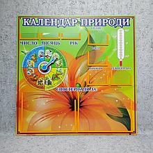 Уголок природы для школы Лилия