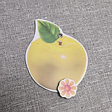 Магнитный стенд для крепления рисунков Яблоки, фото 5