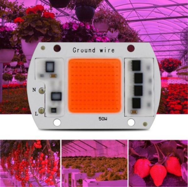 Светодиодный модуль COB LED 50W AC220 для растений - фото 1 - id-p5349416