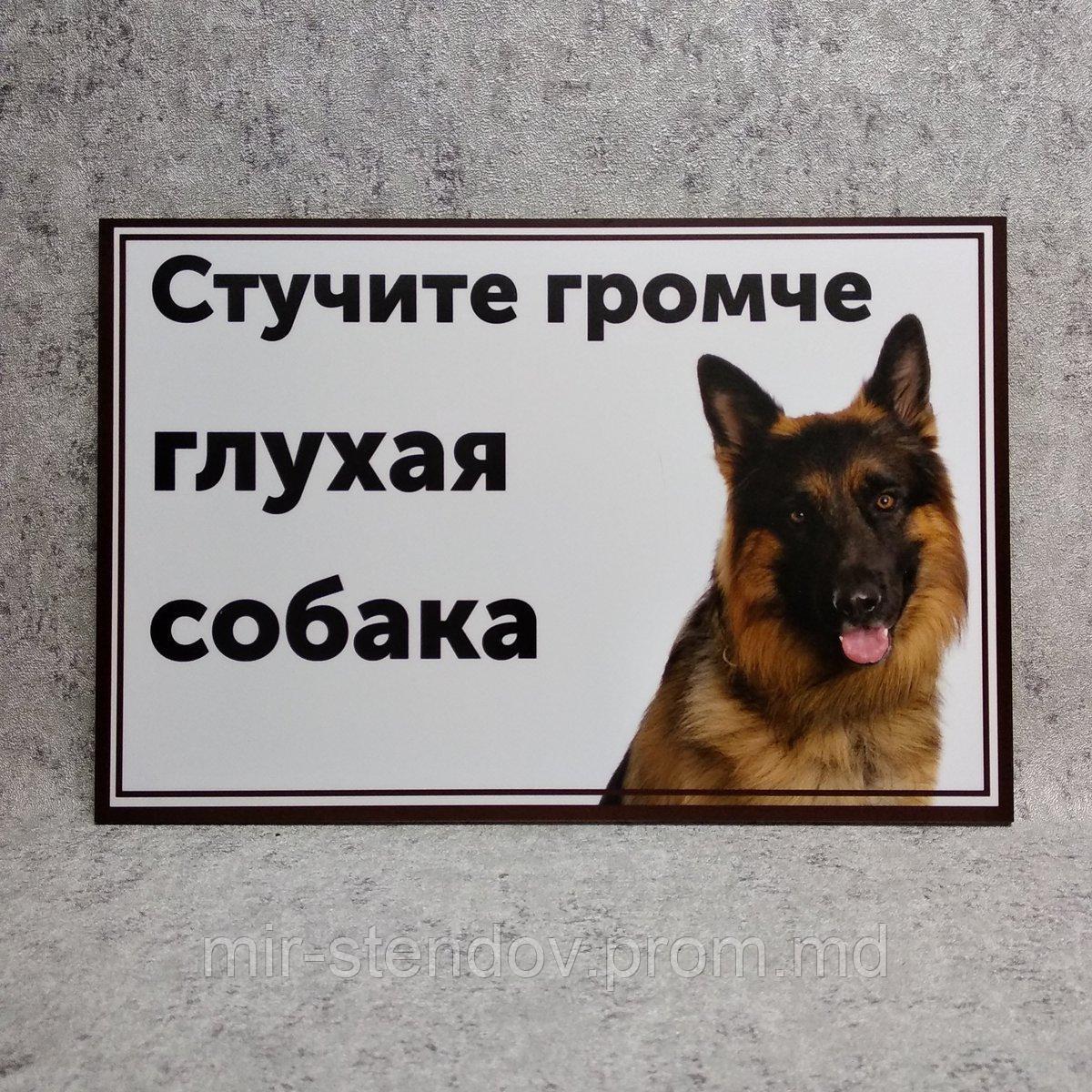 Табличка Осторожно, злая собака."Стучите громче, глухая собака", фото 1