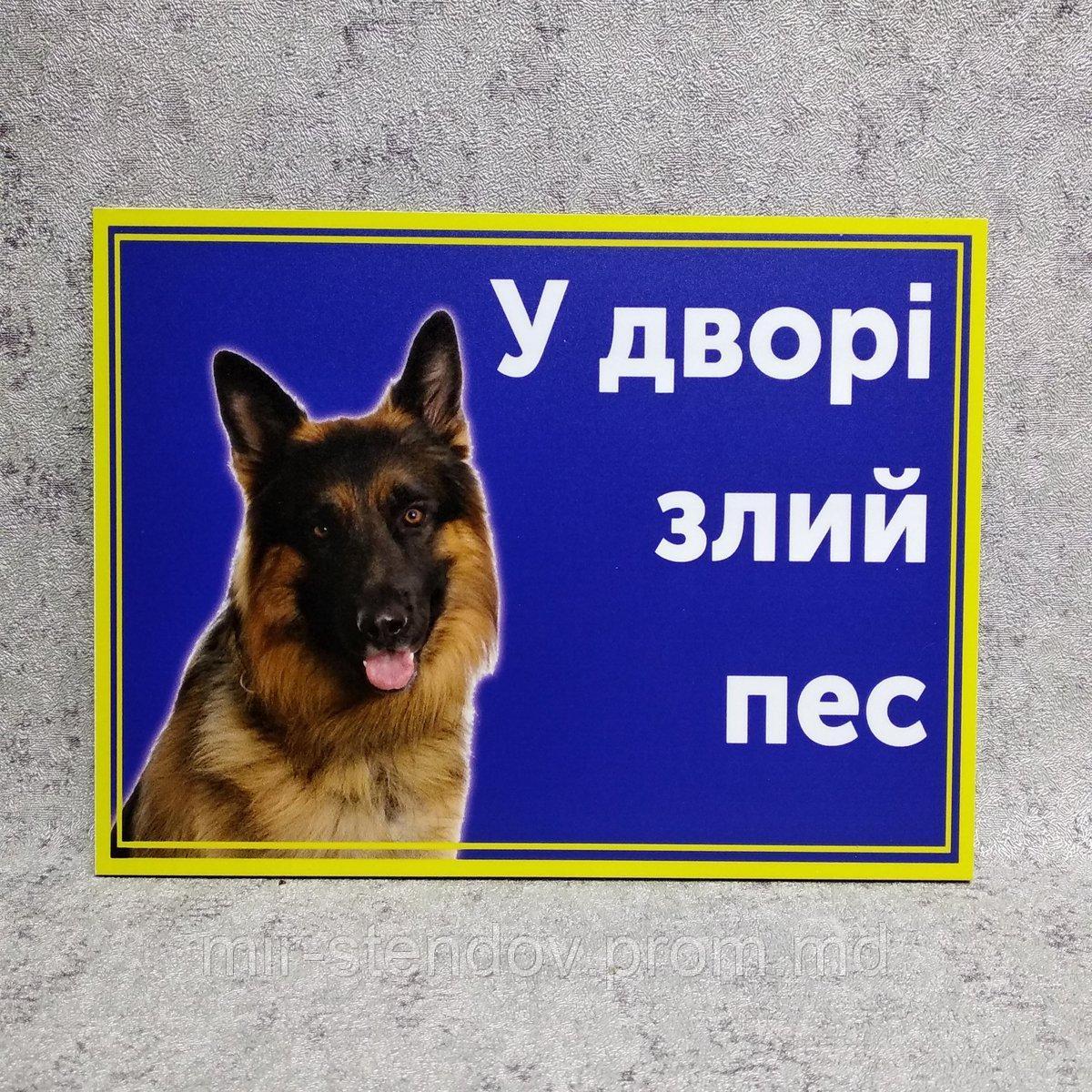 Табличка Во дворе, злая собака - фото 1 - id-p10363373