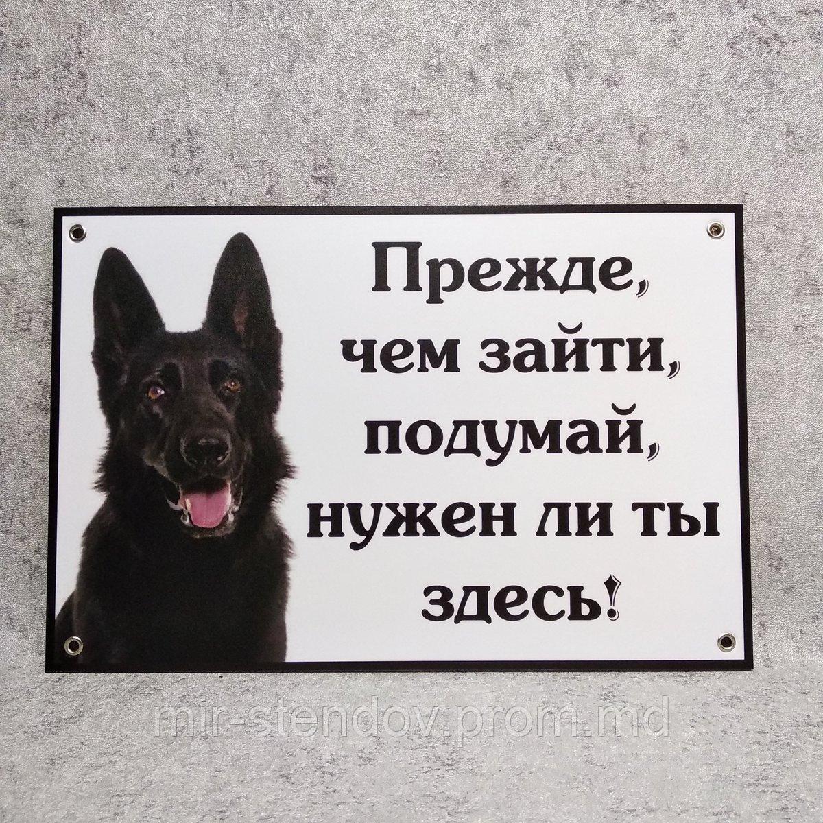 Табличка "Прежде, чем зайти, подумай, нужен ли ты здесь" (Чёрная овчарка), фото 1