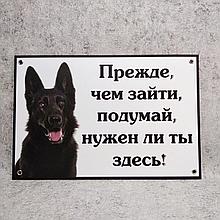 Табличка "Прежде, чем зайти, подумай, нужен ли ты здесь" (Чёрная овчарка)