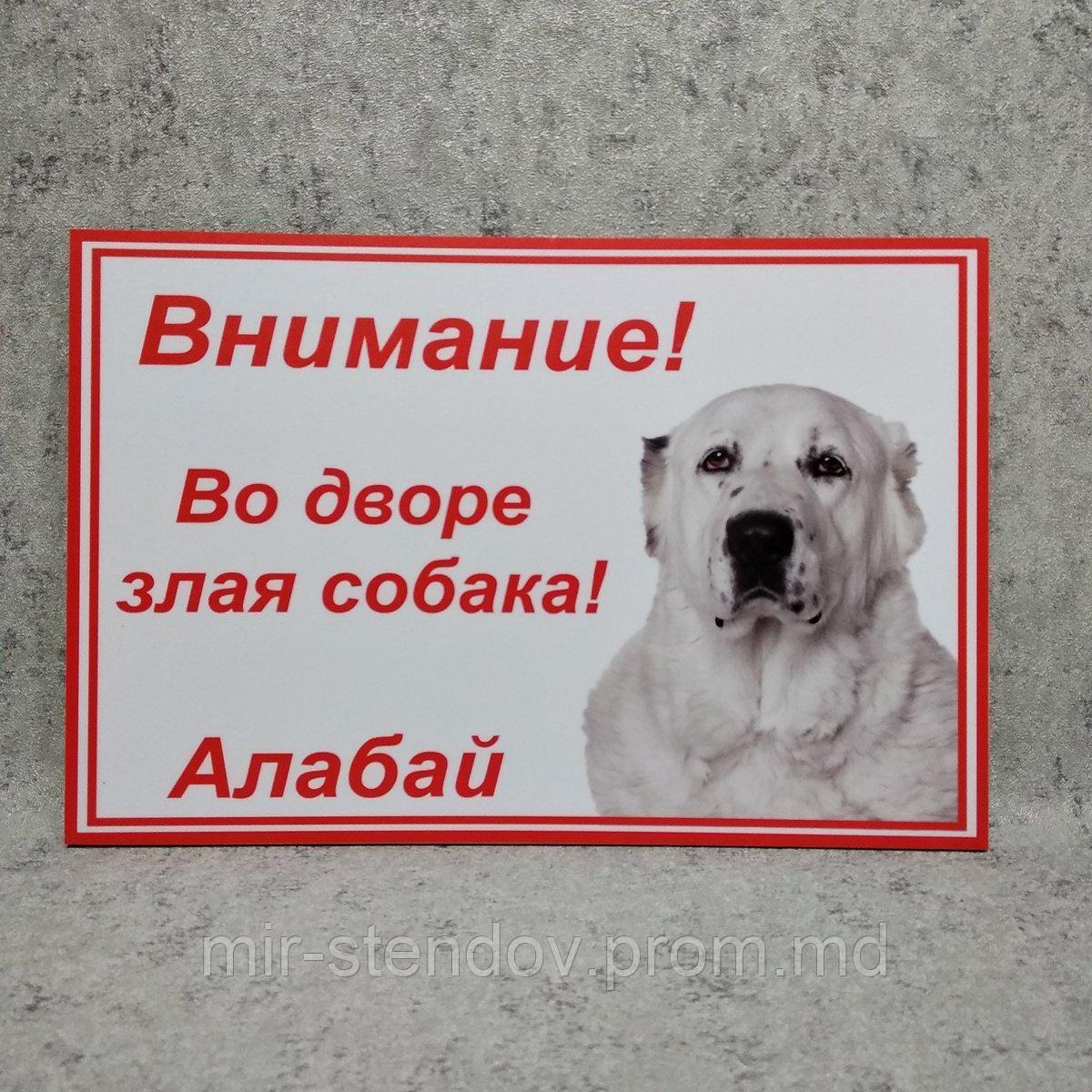 Табличка Осторожно, злая собака. Алабай - фото 1 - id-p5993954