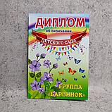 Диплом и медаль именная для выпускника детского сада группа "Барвинок", фото 5
