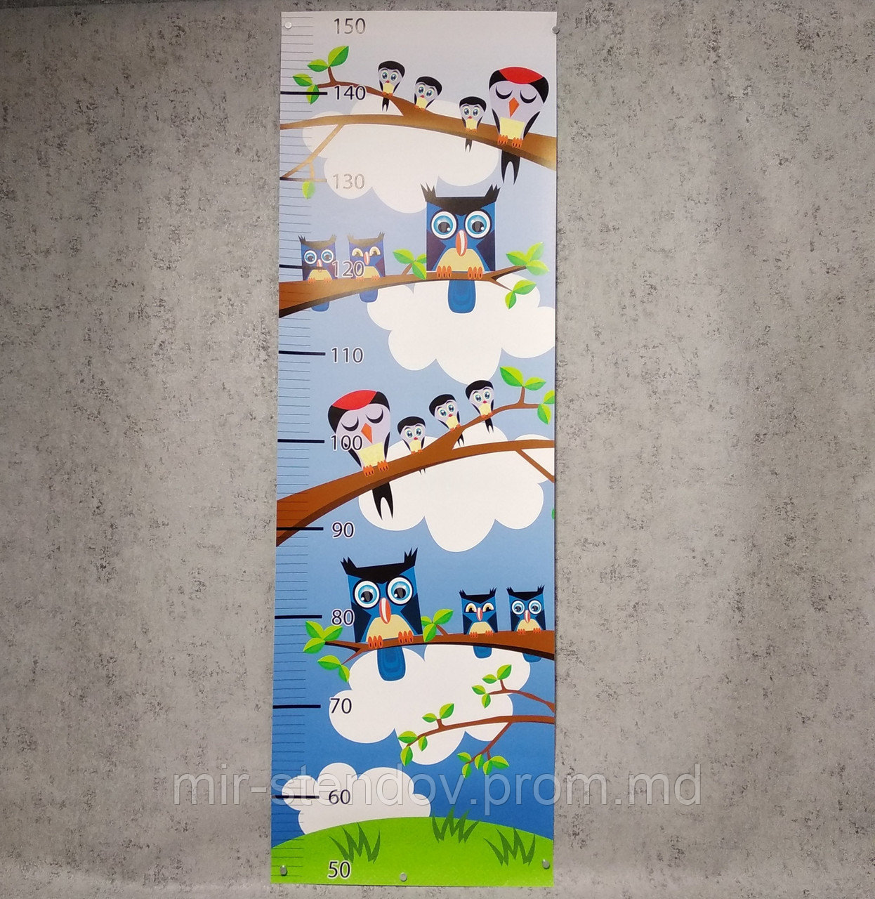 Ростомер Совы, фото 1