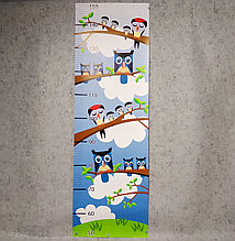 Ростомер Совы