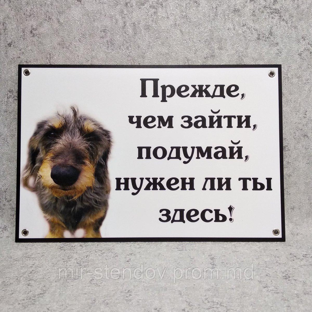Табличка Грозный пёс. Прежде, чем зайти, подумай..., фото 1