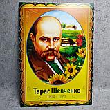 Набор портретов для кабинета украинской литературы и языка, фото 4