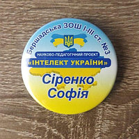 Значки с логотипом "Интеллект Украины"