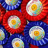 Значок с розеткой и хвостиками Выпускник группы Солнышко, фото 2