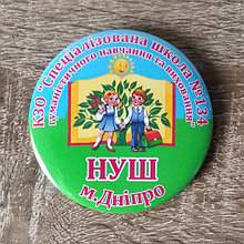 Значок представителя Специализированной школы НУШ