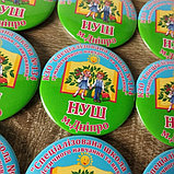 Значок представителя Специализированной школы НУШ, фото 3