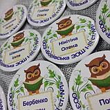 Значки для школьников с именами и фамилиями. "Мудрая сова", фото 2