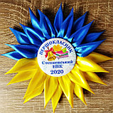 Значок первоклассника. Розетка-канзаши "Украина", фото 2