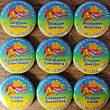 Значок Первоклассник с Фамилиями, фото 3