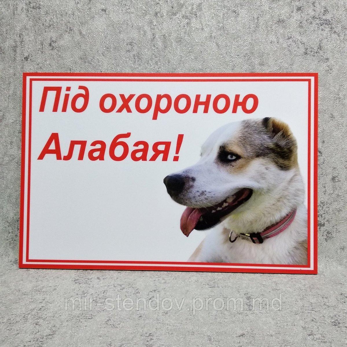 Табличка Под охраной Алабая!, фото 1