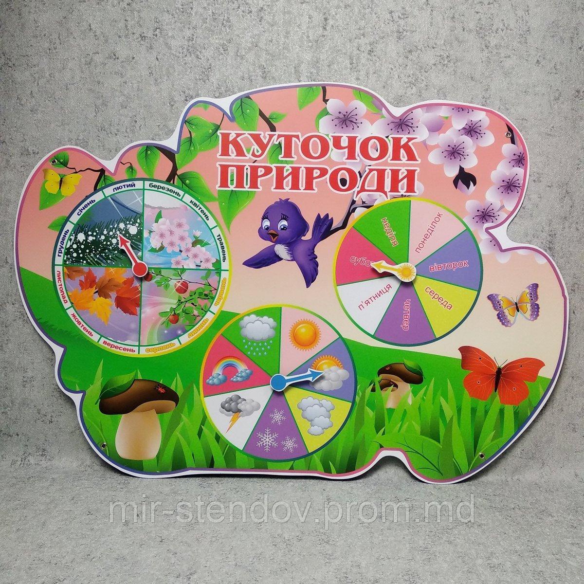 Уголок природы Боровичок, фото 1