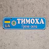 Номер на коляску (милицейский) с именем ребёнка. "Гроза района", фото 5