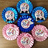 Значок с розеткой Первоклассник (ца) (Бабочка и бантик), фото 2