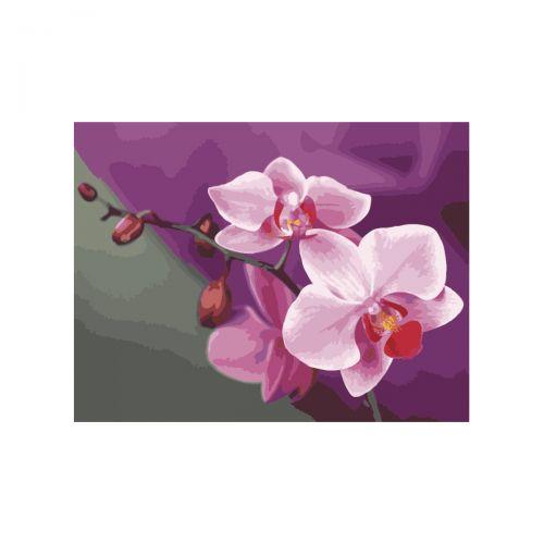 Картина по номерам "Розовые орхидеи" - фото 1 - id-p10398320