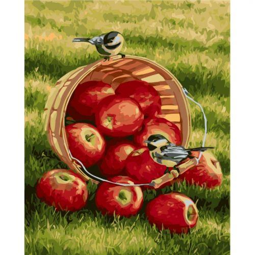 Картина по номерам "Хрустящие яблочки" - фото 1 - id-p10399580