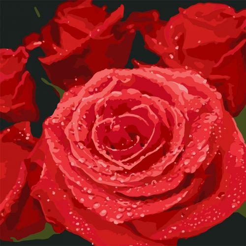Картина по номерам "Красные розы" - фото 1 - id-p10403110