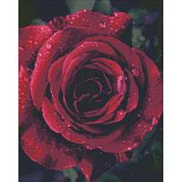 Алмазная вышивка "Роза с каплями росы"