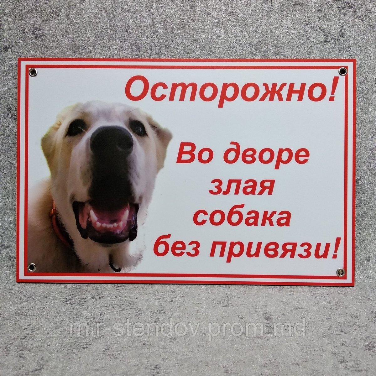 Табличка Осторожно, во дворе злая собака без привязи - фото 1 - id-p10403816
